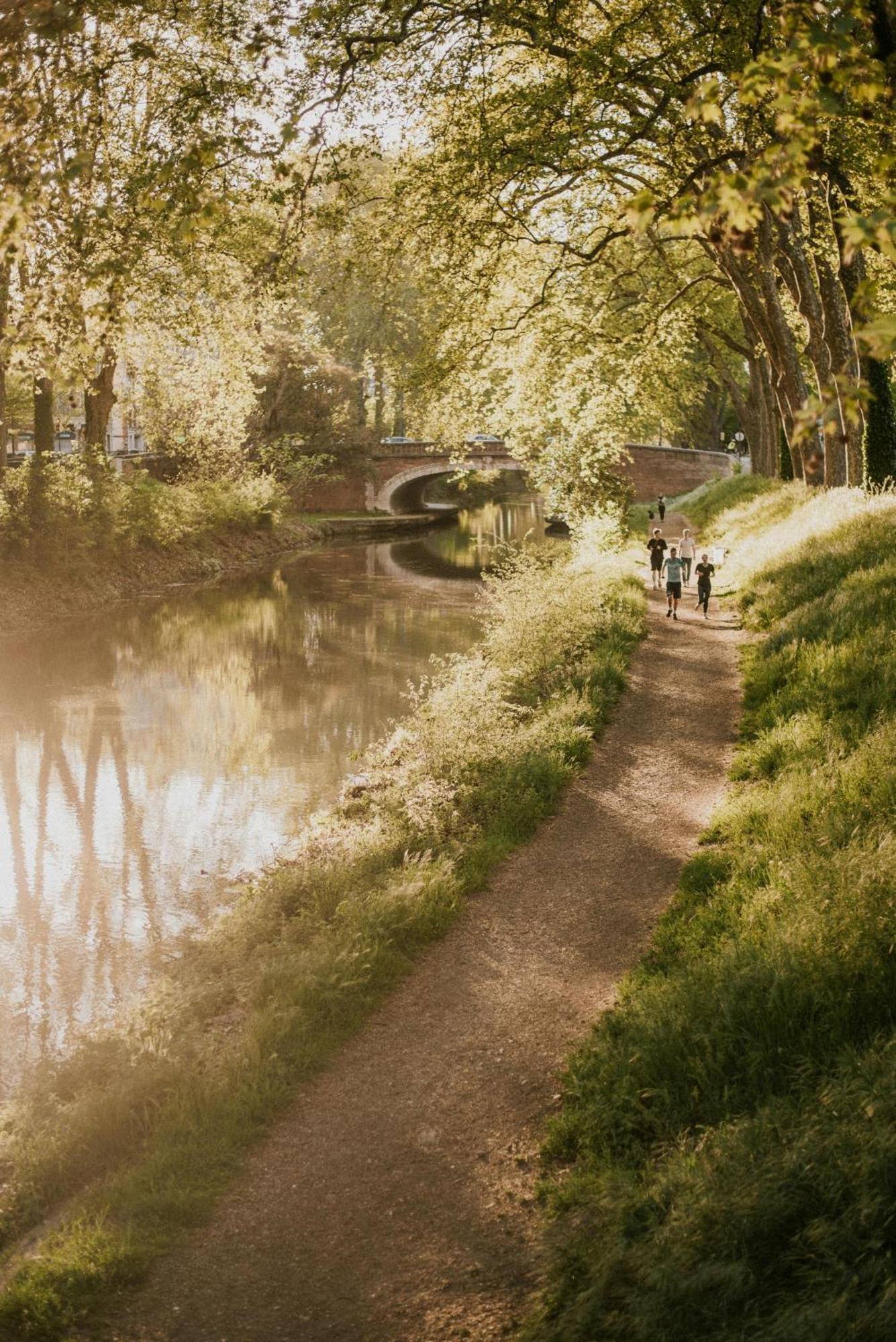 L'Elegance Du Midi - Climatisation Reversible Toulouse Dış mekan fotoğraf